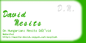 david mesits business card